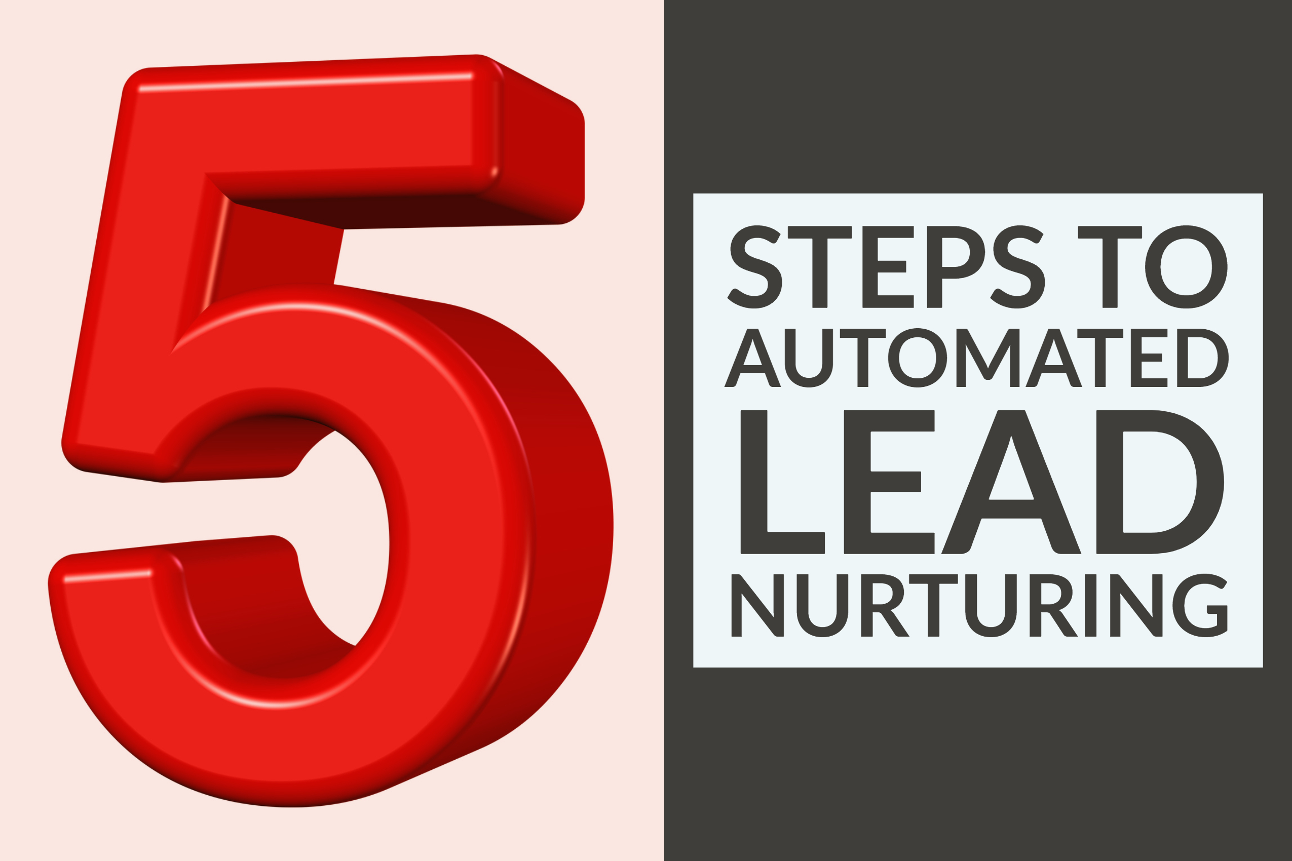 5 Steps To Automated Lead Nurturing