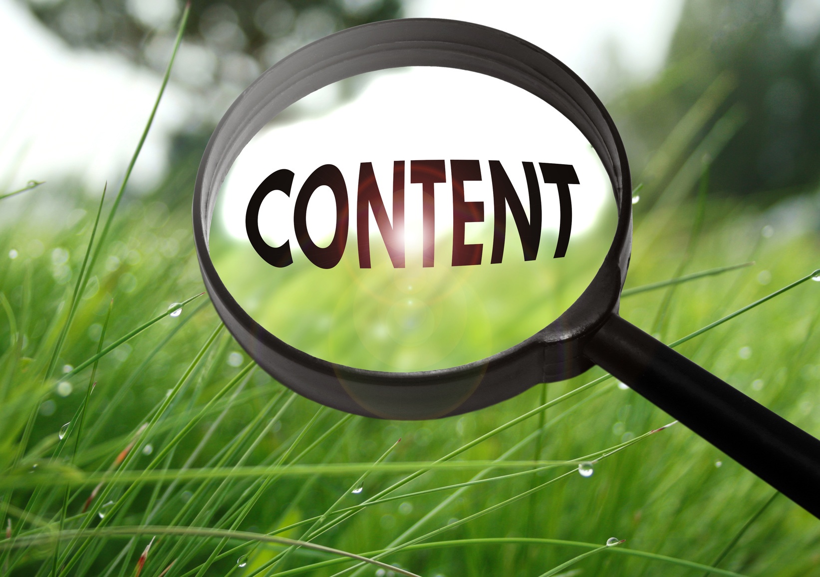 What is Your Marketing Content Missing? (Infographic)