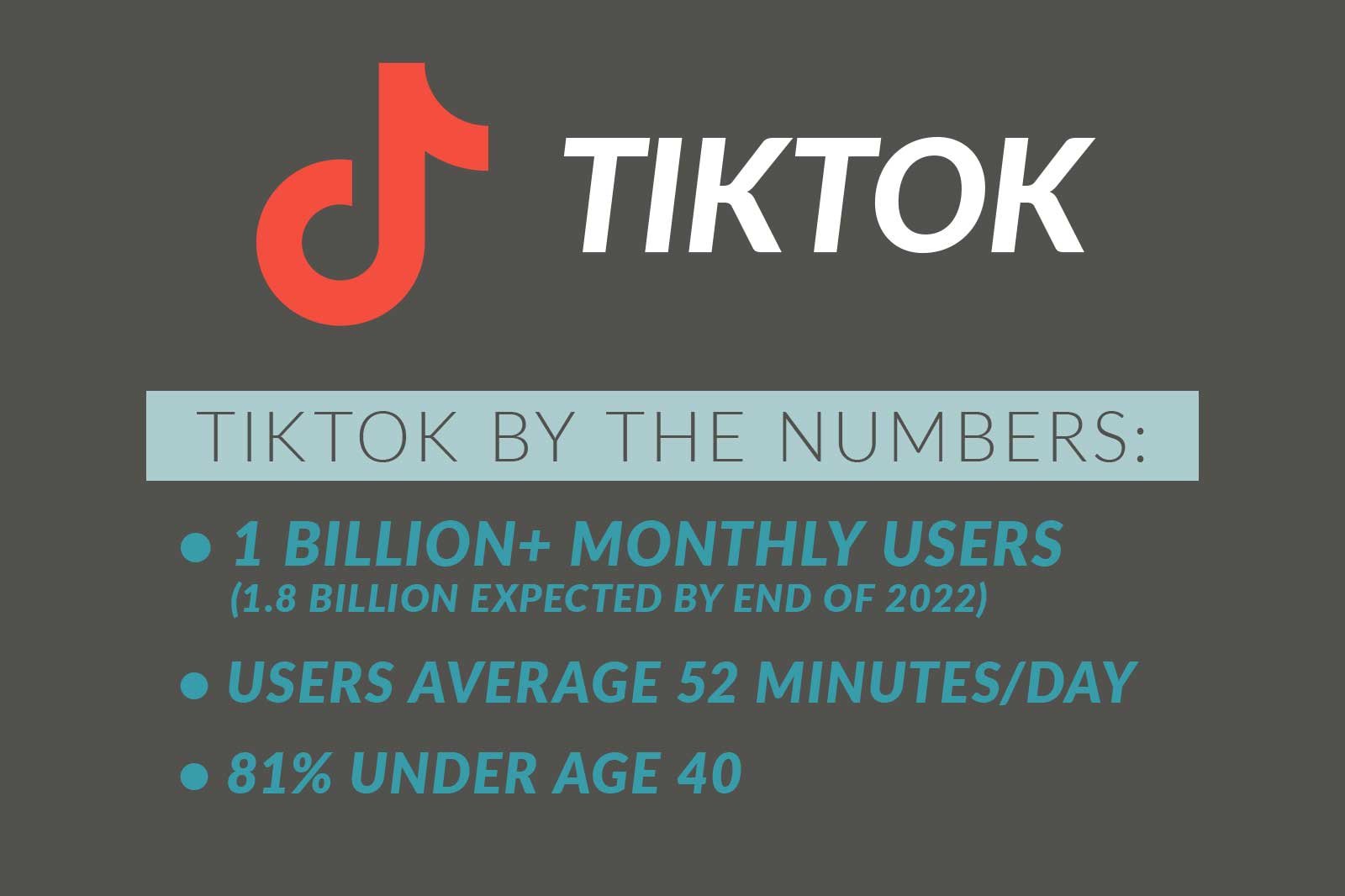 TikTokBytheNumbers